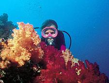 Belize-Belize Coast-Reef Atoll Kayaking Getaway